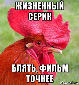 жизненный серик блять, фильм точнее