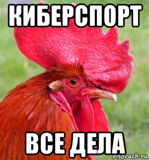 киберспорт все дела