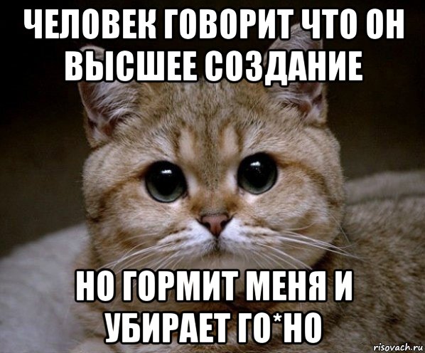 человек говорит что он высшее создание но гормит меня и убирает го*но, Мем Пидрила Ебаная