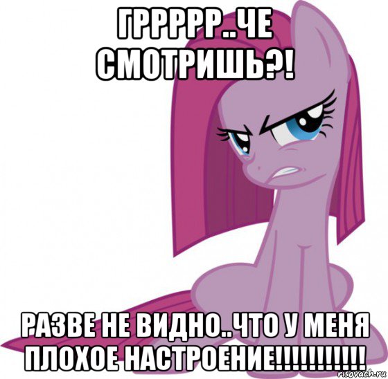 гррррр..че смотришь?! разве не видно..что у меня плохое настроение!!!!!!!!!!!