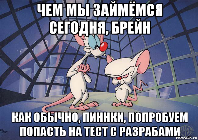 чем мы займёмся сегодня, брейн как обычно, пиннки, попробуем попасть на тест с разрабами