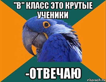 "в" класс это крутые ученики -отвечаю, Мем Попугай параноик