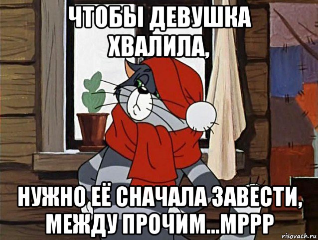 чтобы девушка хвалила, нужно её сначала завести, между прочим...мррр, Мем Кот Матроскин