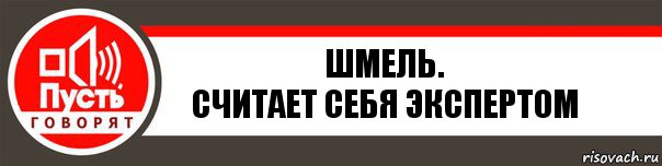 Шмель.
считает себя экспертом, Комикс   пусть говорят