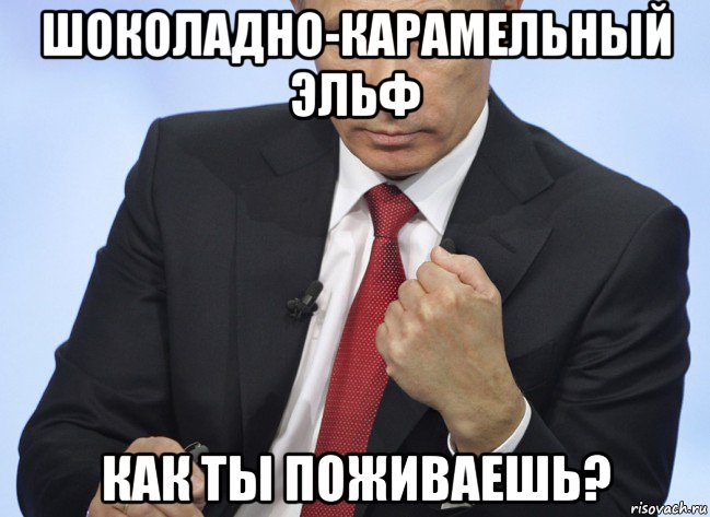 шоколадно-карамельный эльф как ты поживаешь?, Мем Путин показывает кулак