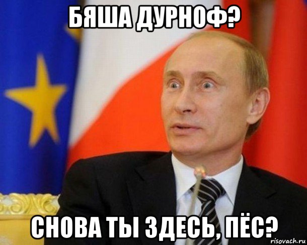 бяша дурноф? снова ты здесь, пёс?