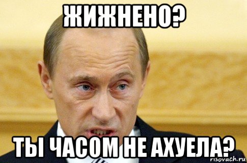 жижнено? ты часом не ахуела?, Мем путин