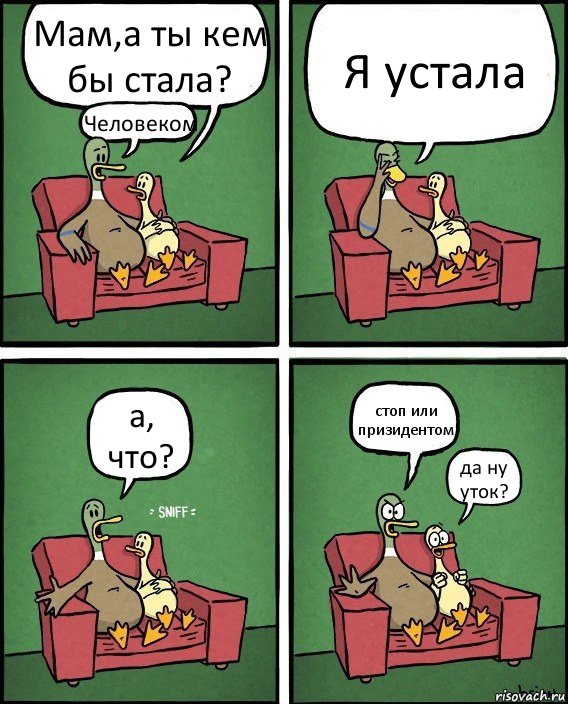 Мам,а ты кем бы стала? Человеком Я устала а, что? стоп или призидентом да ну уток?, Комикс  Разговор уток