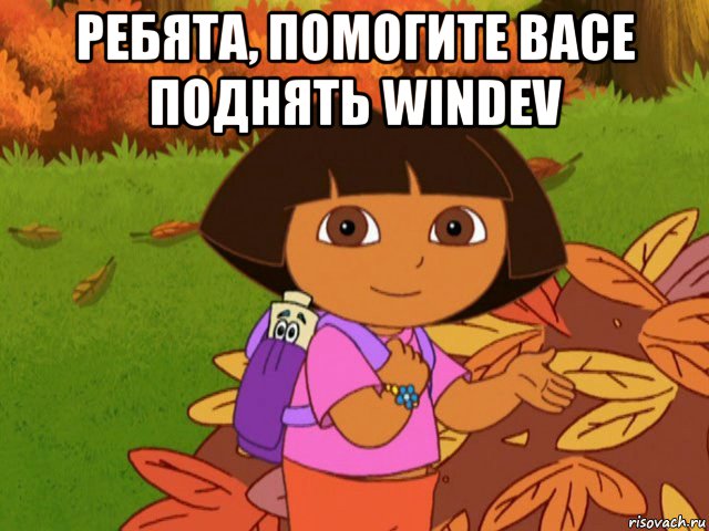 ребята, помогите васе поднять windev 