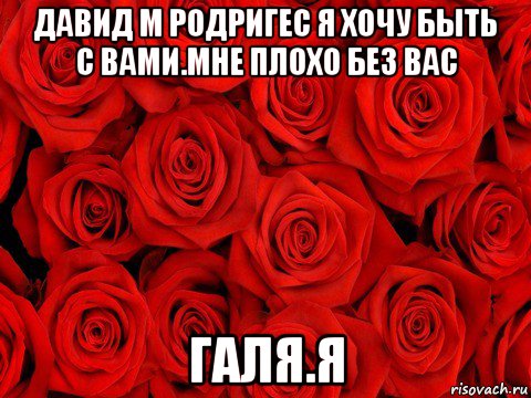 давид м родригес я хочу быть с вами.мне плохо без вас галя.я, Мем роза