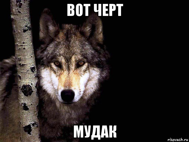 вот черт мудак, Мем Русские