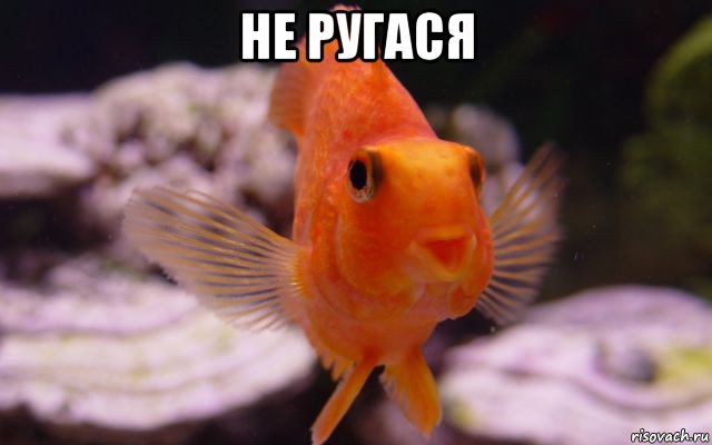 не ругася 