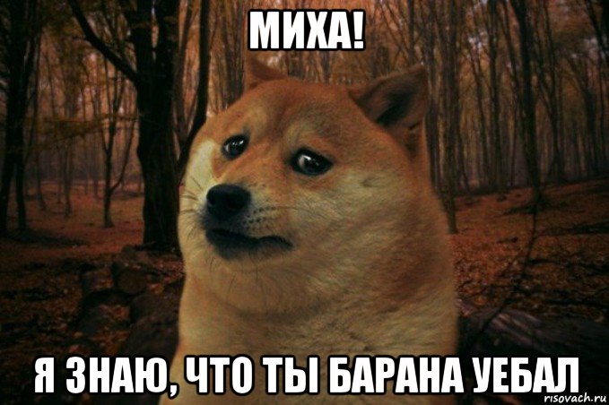 миха! я знаю, что ты барана уебал, Мем SAD DOGE