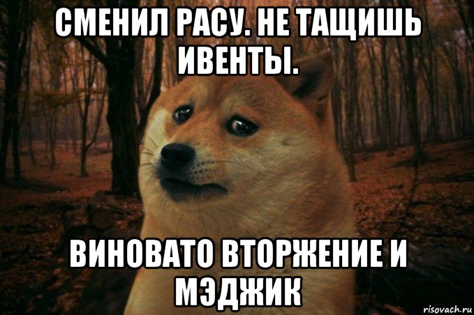 сменил расу. не тащишь ивенты. виновато вторжение и мэджик, Мем SAD DOGE