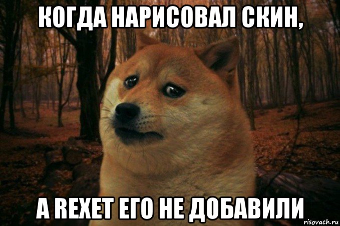 когда нарисовал скин, а rexet его не добавили, Мем SAD DOGE