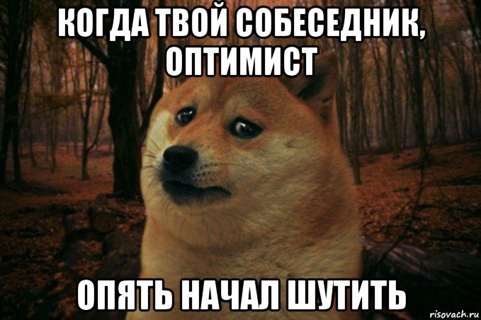 когда твой собеседник, оптимист опять начал шутить, Мем SAD DOGE