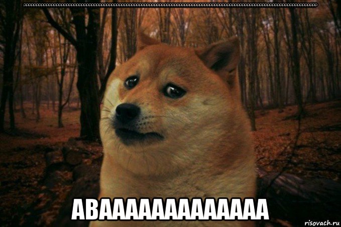 ????????????????????????????????????????????????????????????????????????????????????????????????????????????????????? авааааааааааааа, Мем SAD DOGE