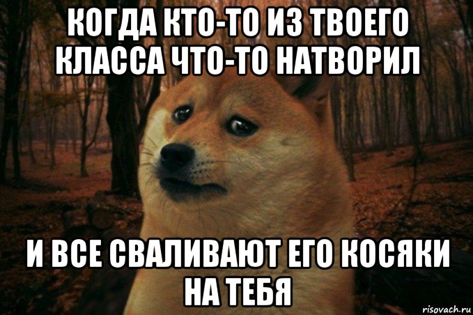 когда кто-то из твоего класса что-то натворил и все сваливают его косяки на тебя, Мем SAD DOGE