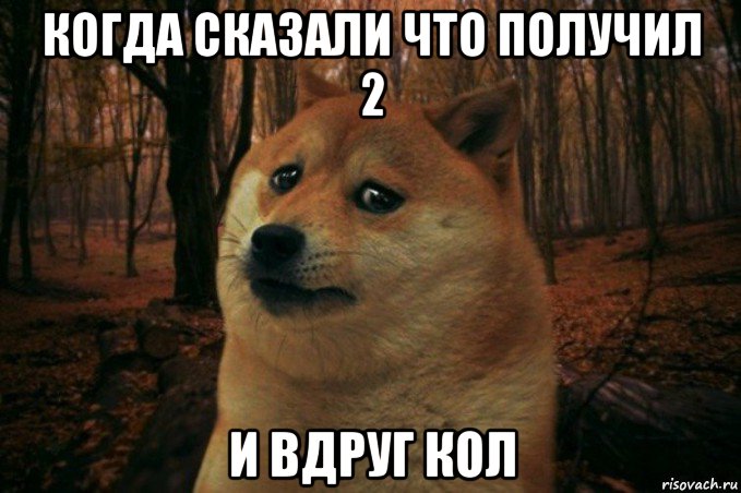 когда сказали что получил 2 и вдруг кол, Мем SAD DOGE