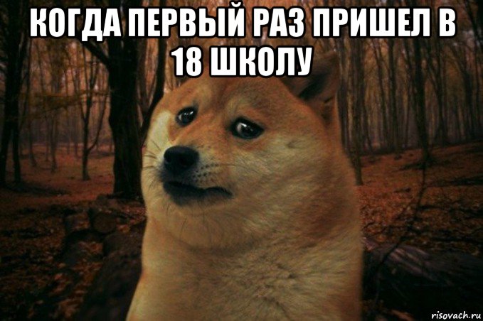 когда первый раз пришел в 18 школу , Мем SAD DOGE