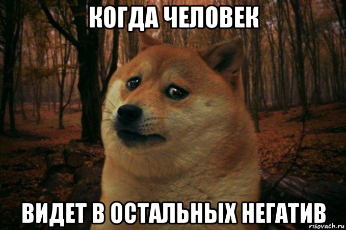 когда человек видет в остальных негатив, Мем SAD DOGE