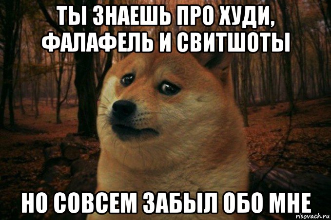 ты знаешь про худи, фалафель и свитшоты но совсем забыл обо мне, Мем SAD DOGE