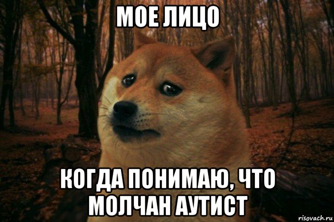 мое лицо когда понимаю, что молчан аутист, Мем SAD DOGE