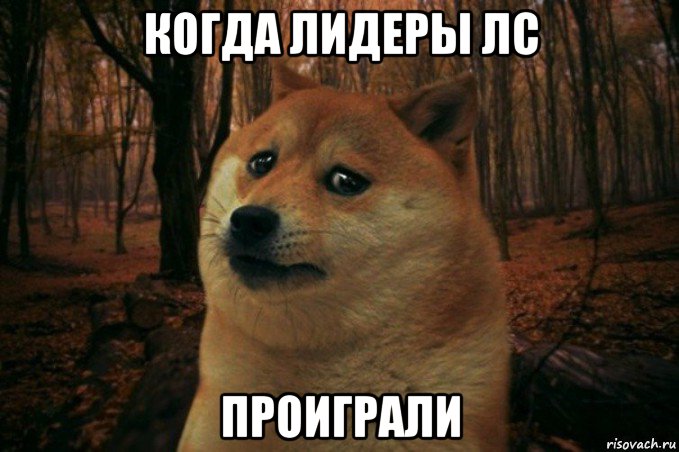 когда лидеры лс проиграли, Мем SAD DOGE