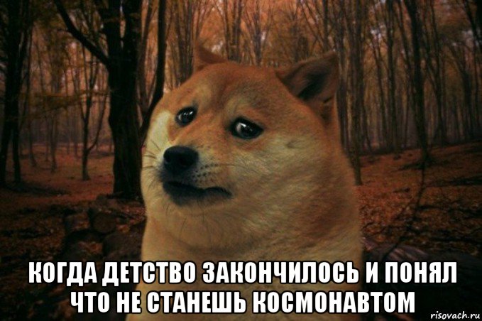  когда детство закончилось и понял что не станешь космонавтом, Мем SAD DOGE