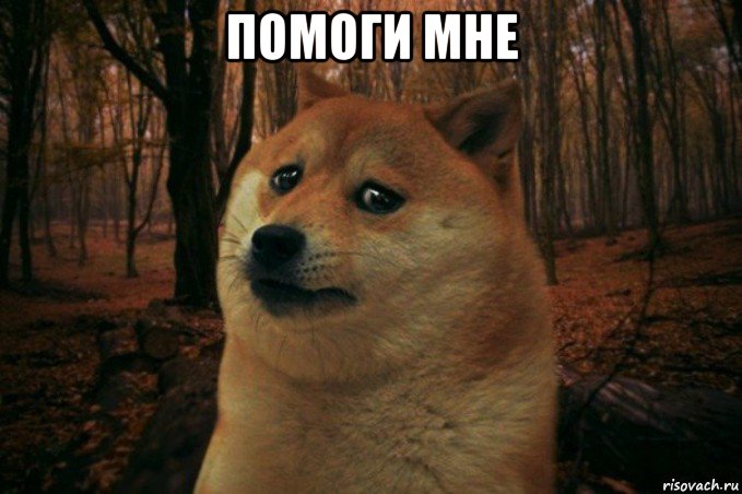 помоги мне , Мем SAD DOGE