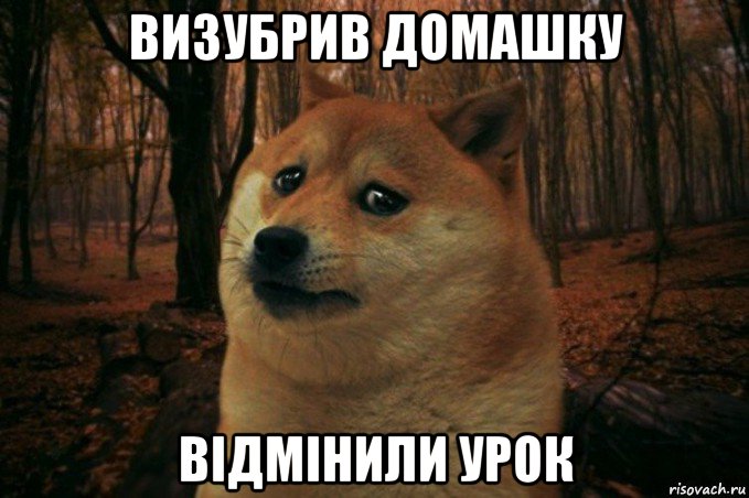 визубрив домашку відмінили урок, Мем SAD DOGE