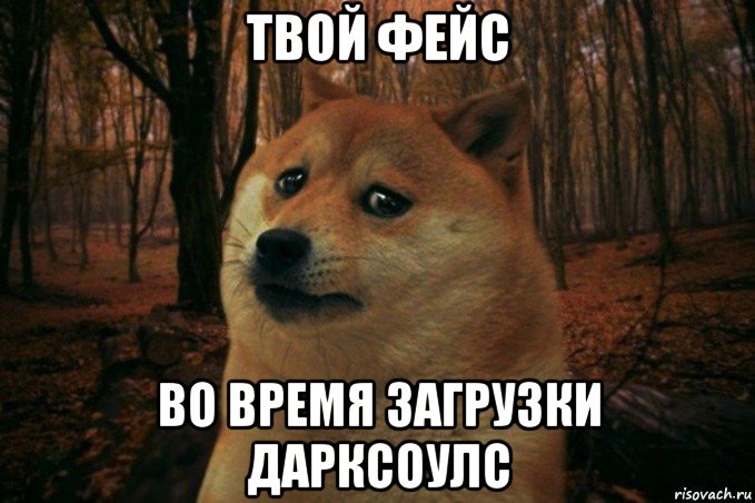 твой фейс во время загрузки дарксоулс, Мем SAD DOGE