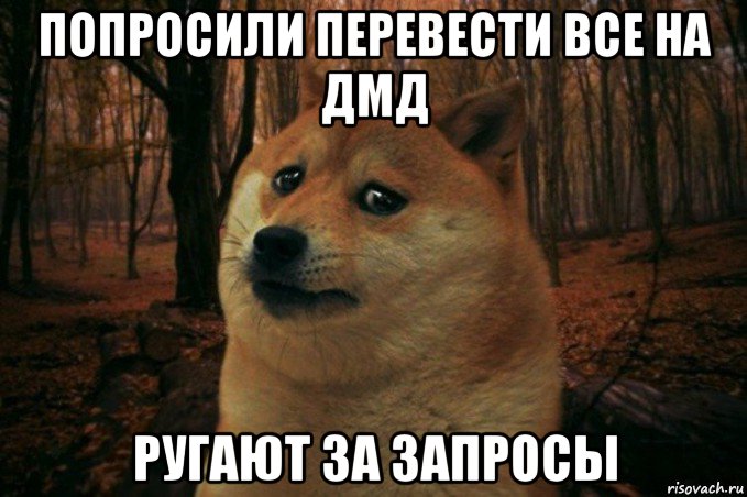 попросили перевести все на дмд ругают за запросы, Мем SAD DOGE