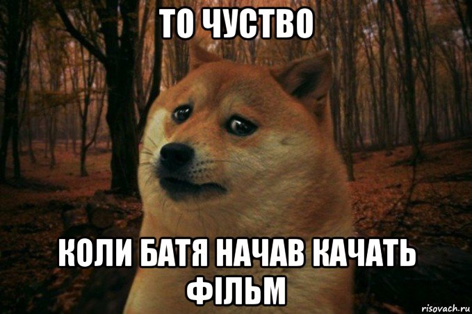 то чуство коли батя начав качать фільм, Мем SAD DOGE