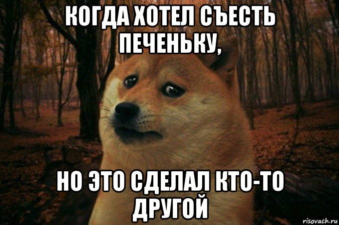 когда хотел съесть печеньку, но это сделал кто-то другой, Мем SAD DOGE