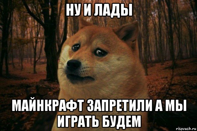 ну и лады майнкрафт запретили а мы играть будем, Мем SAD DOGE