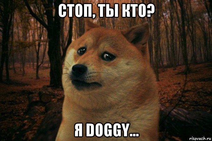 стоп, ты кто? я doggy..., Мем SAD DOGE