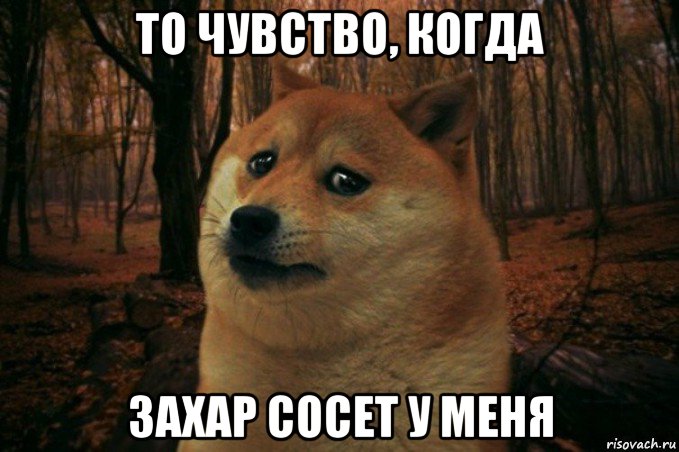 то чувство, когда захар сосет у меня, Мем SAD DOGE