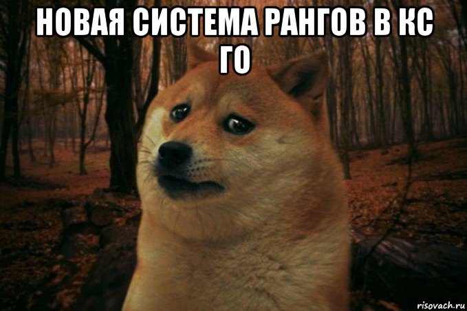 новая система рангов в кс го , Мем SAD DOGE