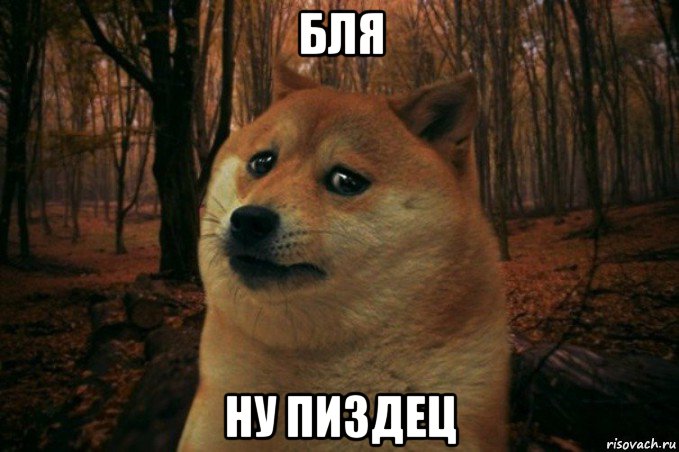 бля ну пиздец, Мем SAD DOGE