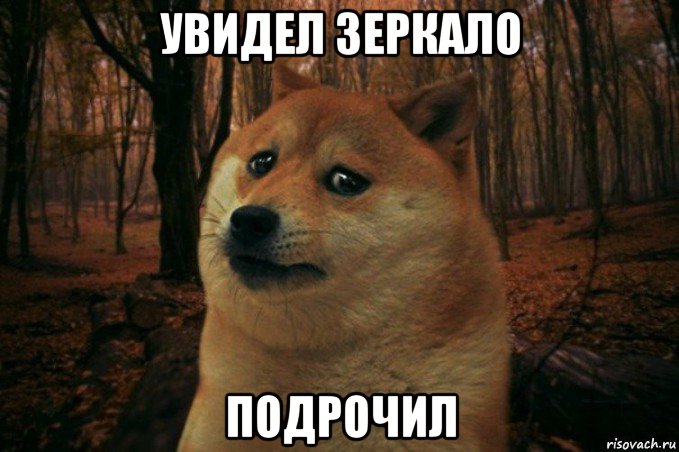 увидел зеркало подрочил, Мем SAD DOGE