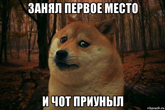 занял первое место и чот приуныл, Мем SAD DOGE