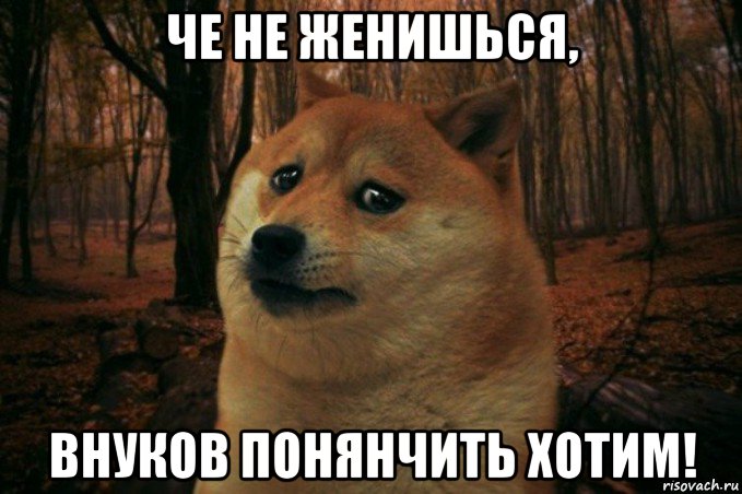 че не женишься, внуков понянчить хотим!, Мем SAD DOGE