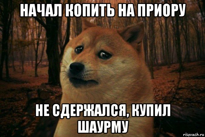 начал копить на приору не сдержался, купил шаурму, Мем SAD DOGE