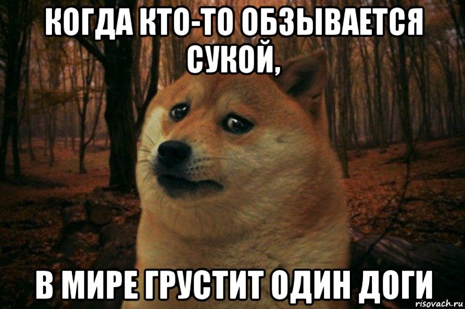 когда кто-то обзывается сукой, в мире грустит один доги, Мем SAD DOGE