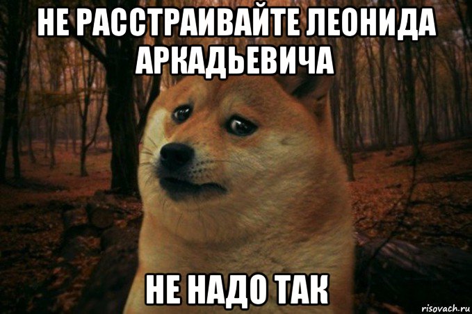 не расстраивайте леонида аркадьевича не надо так, Мем SAD DOGE