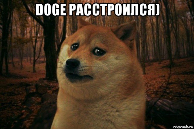 doge расстроился) , Мем SAD DOGE