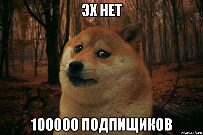 эх нет 100000 подпищиков, Мем SAD DOGE