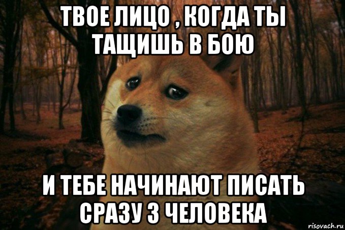 твое лицо , когда ты тащишь в бою и тебе начинают писать сразу 3 человека, Мем SAD DOGE