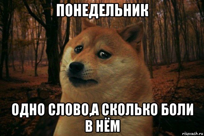 понедельник одно слово,а сколько боли в нём, Мем SAD DOGE